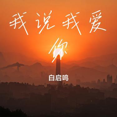 我说我爱你 (Cover 刘嘉亮)封面