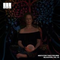 Meditation Tunes for Mind Relaxation, Vol. 05