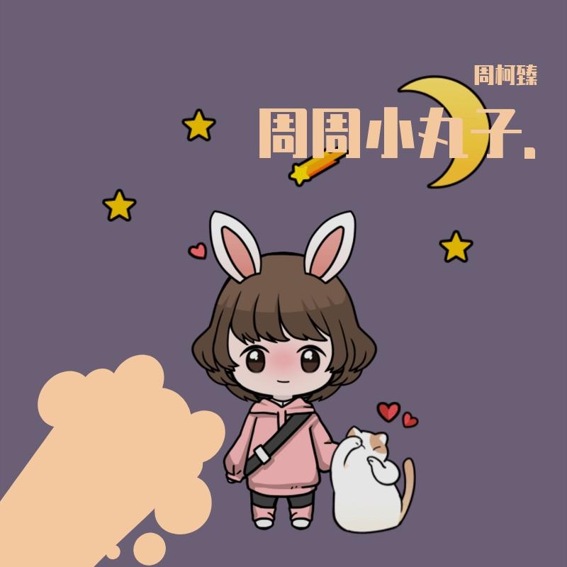 左半边翅膀封面