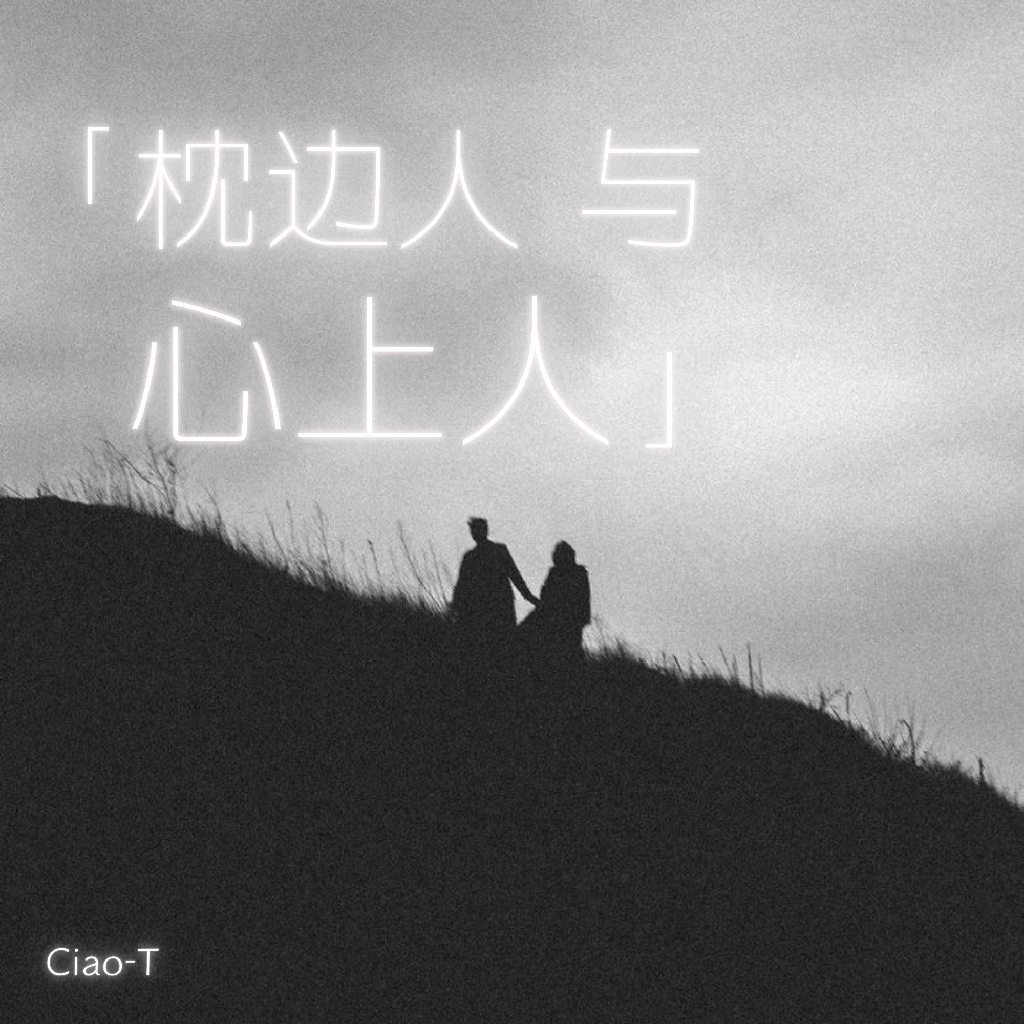 枕边人与心上人（深情版）封面