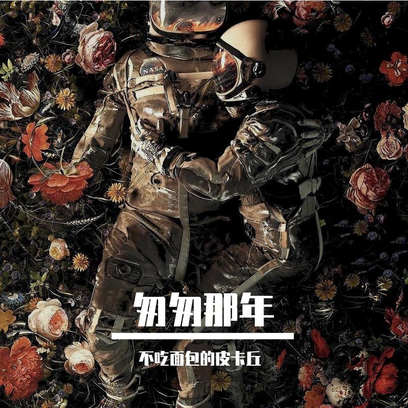 月照故乡封面