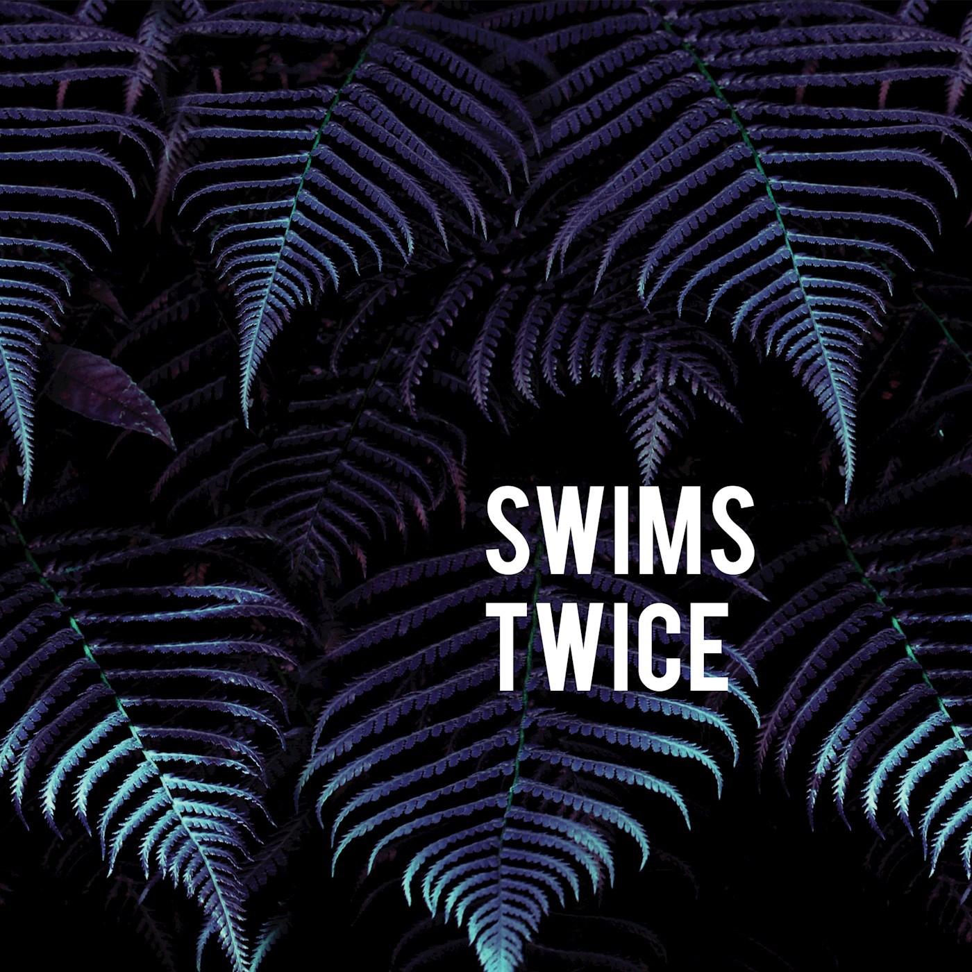 Twice_Swims_Twice | 在线播放_Twice歌词_Twice下载 | 网易云音乐