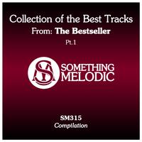 Collection of the Best Tracks From: The Bestseller, Pt. 1