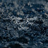 Tibetan Loopable Rain Drop Songs