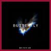 迪力 - Butterfly