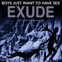 Boys Just Want to Have *** (Plus Remixes)