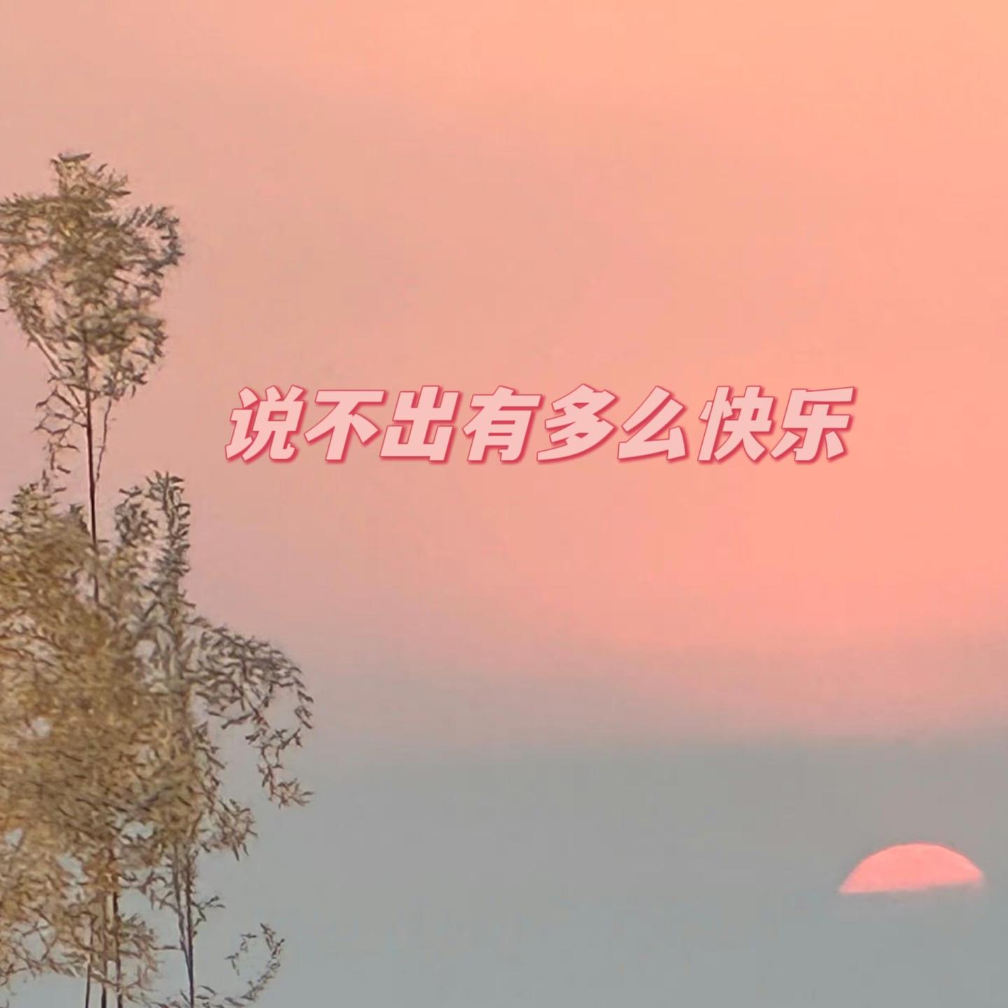 说不出有多么快乐 - Yooic封面