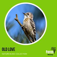 Old Love - Nature Music Collection