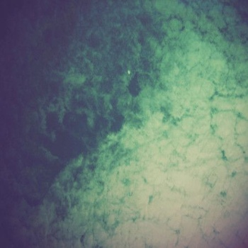 Dwelling Moth Within Our Forest