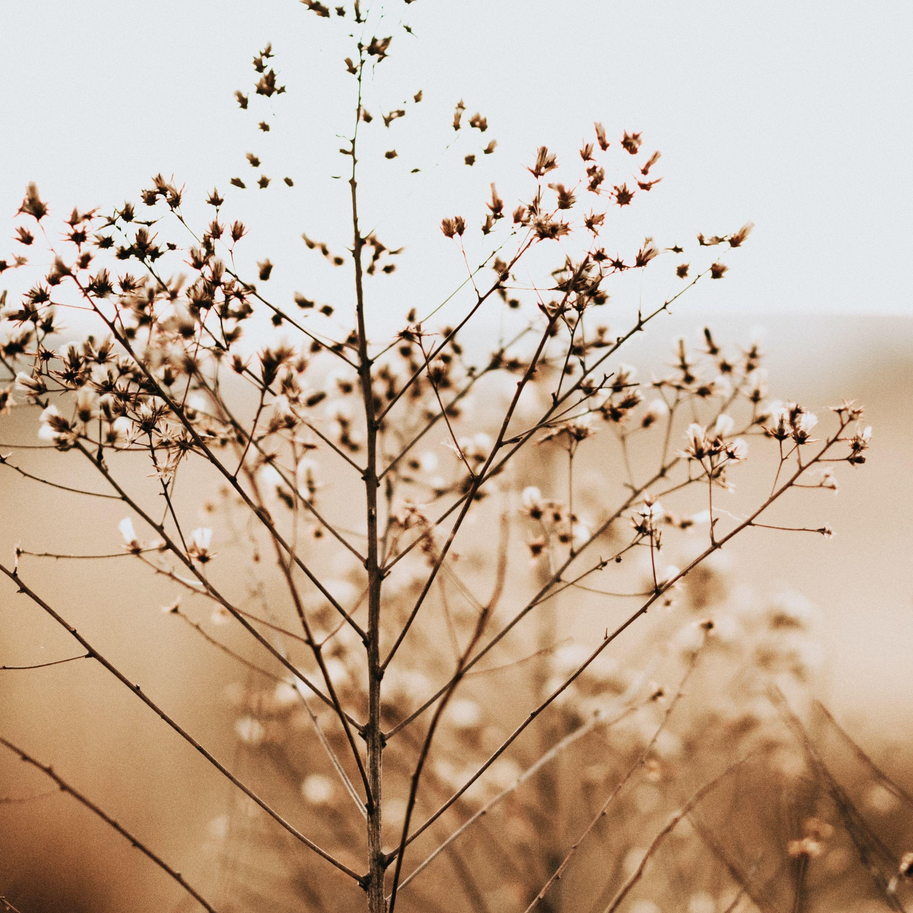 Background Music White Noise Baby Sleep/The Relaxing Sounds of