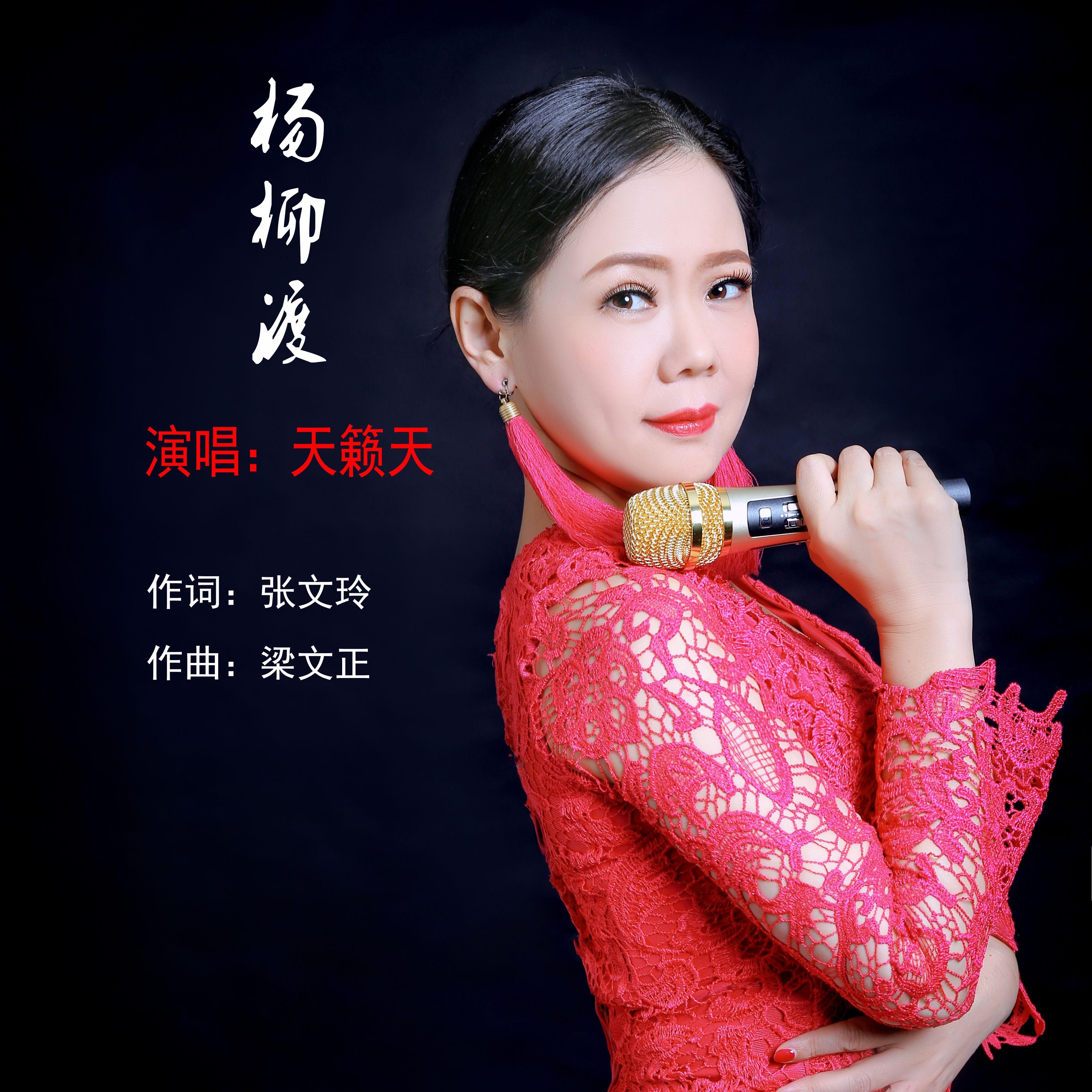 杨柳度DJ封面