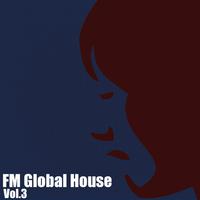 FM Global House (Volume 3)