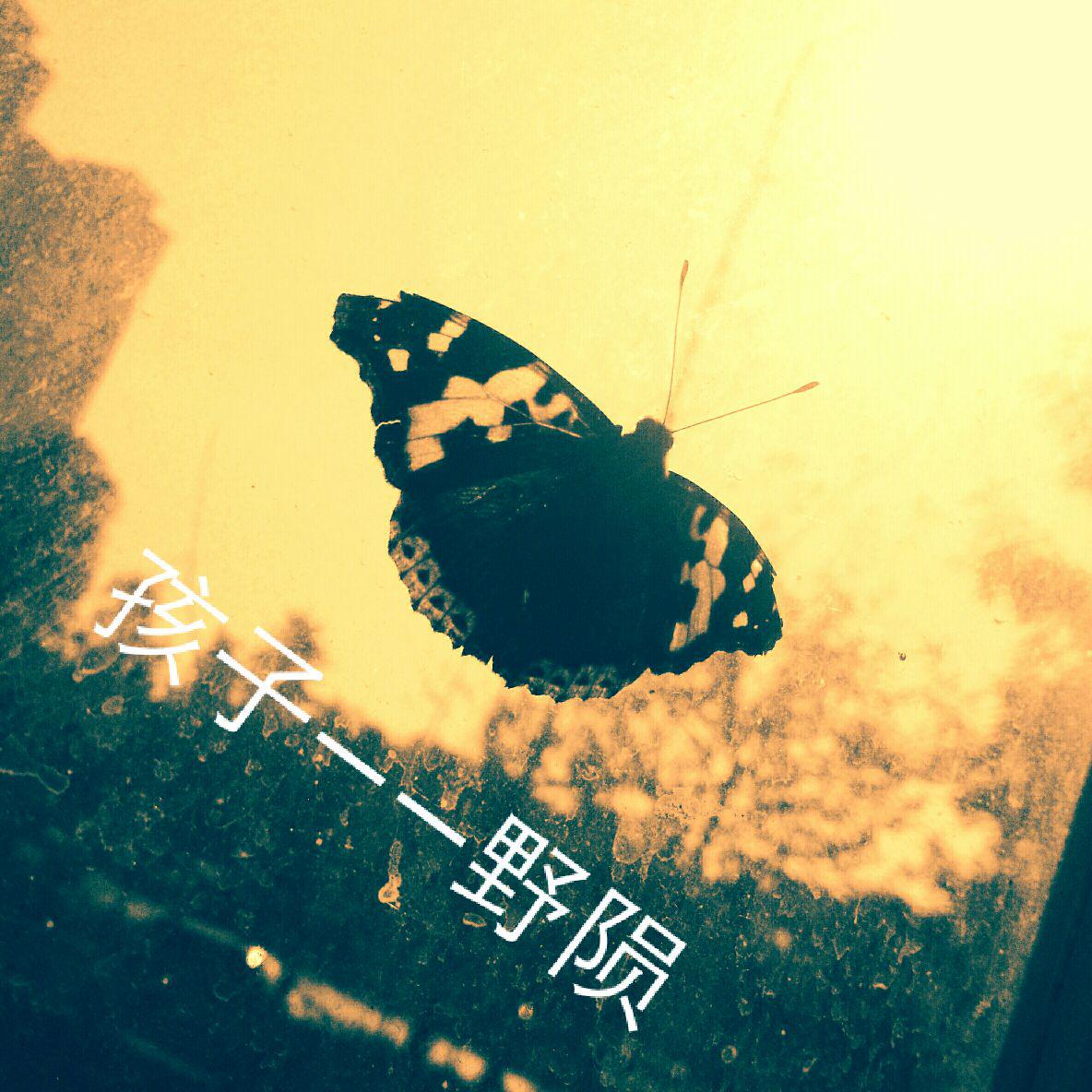 song-img