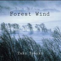 Forest Wind (Solo Piano Version)