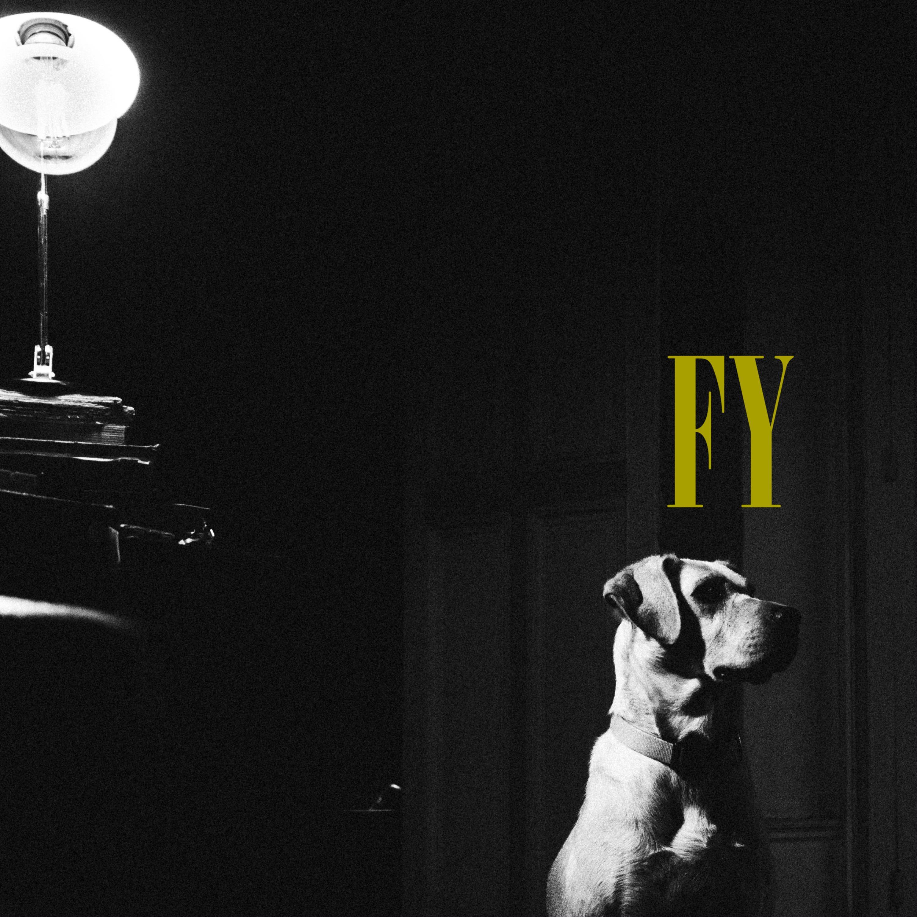 FY (live at Les Chats)