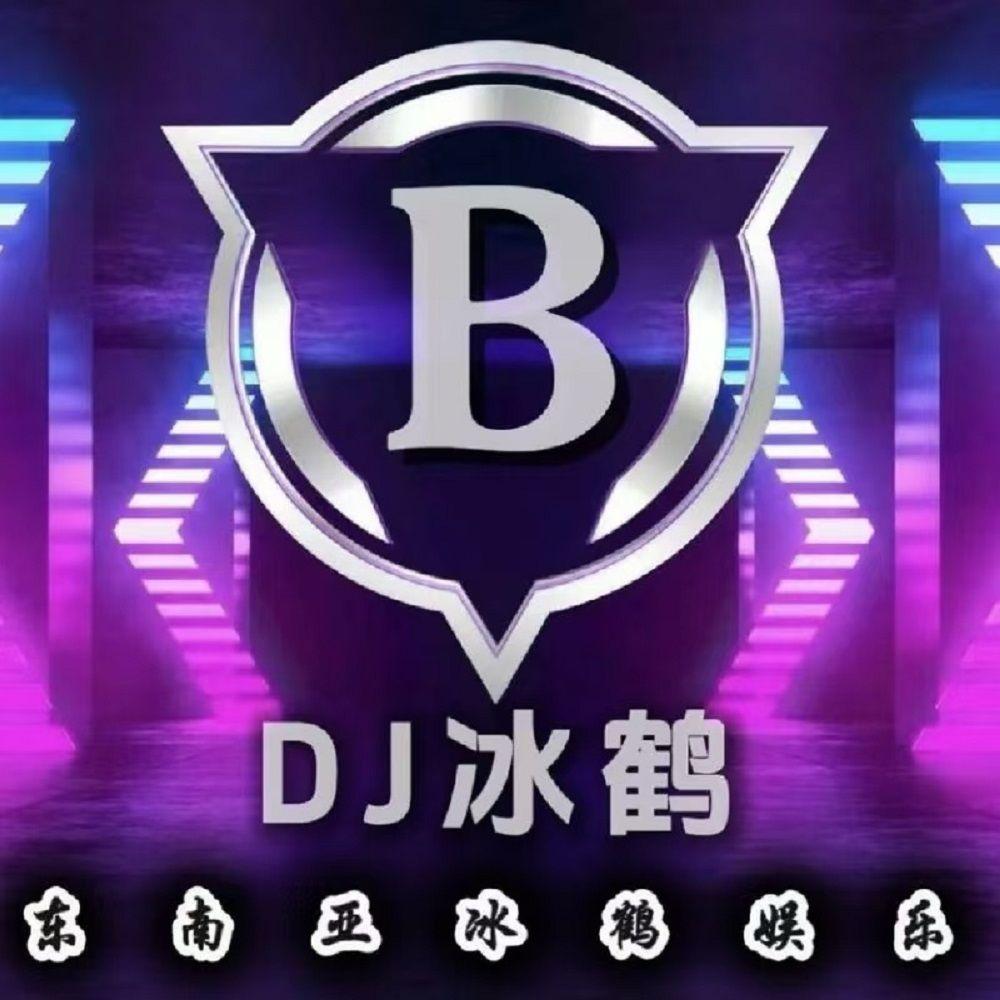 侧脸 (DJ版) - DJ小安、追猎者、冰鹤、鹿鸣封面