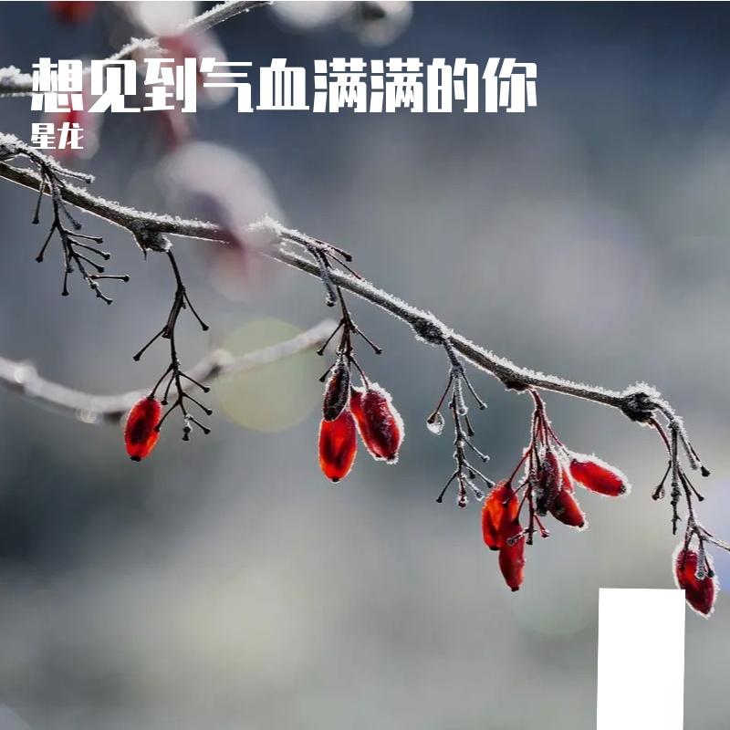 想见到气血满满的你封面