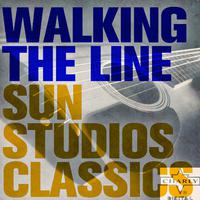 Road Trip Essentials: 30 Classic Songs from Sun Records