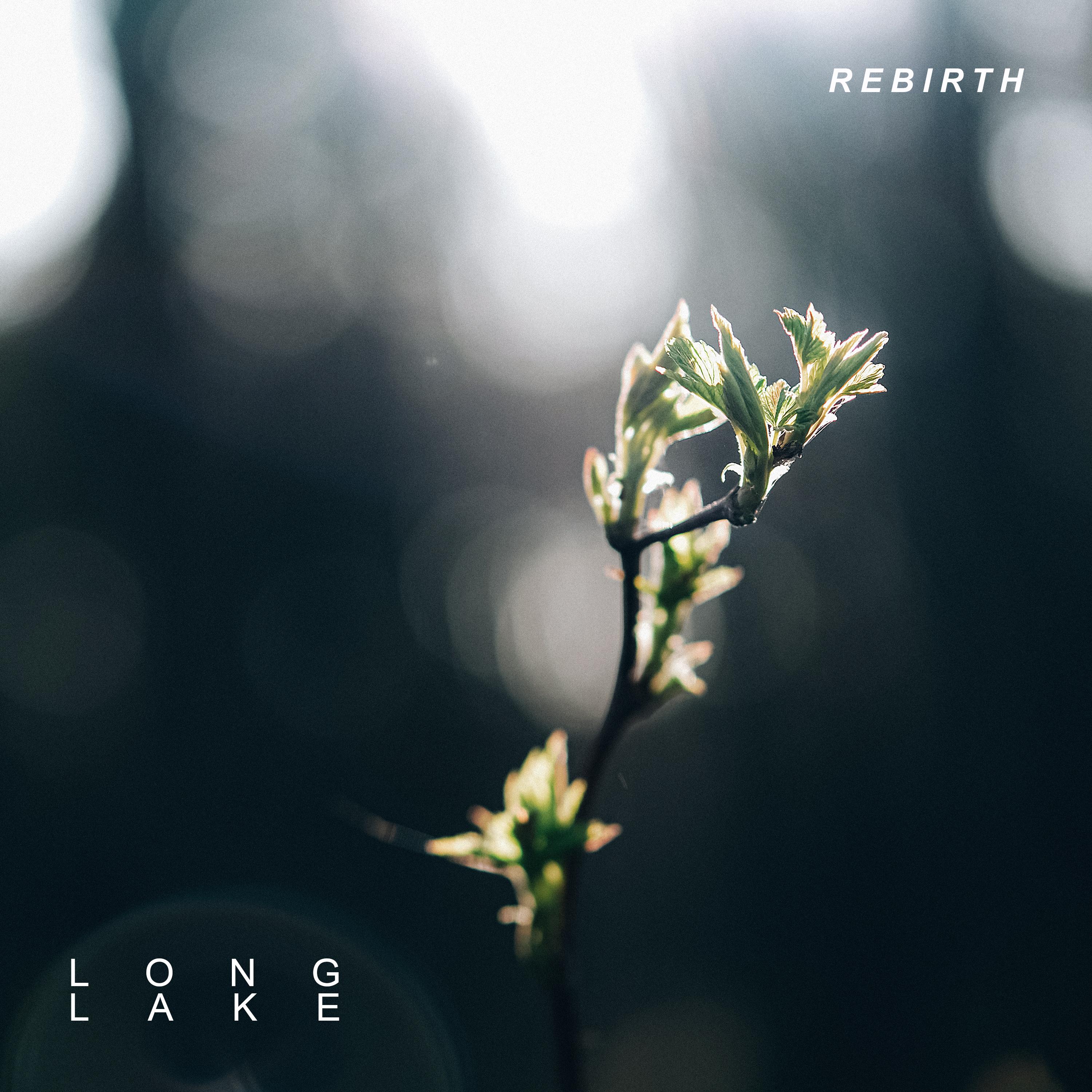 Rebirth_Long Lake_Rebirth | 在线播放_Rebirth歌词_Rebirth下载 | 网易云音乐