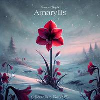 Amaryllis