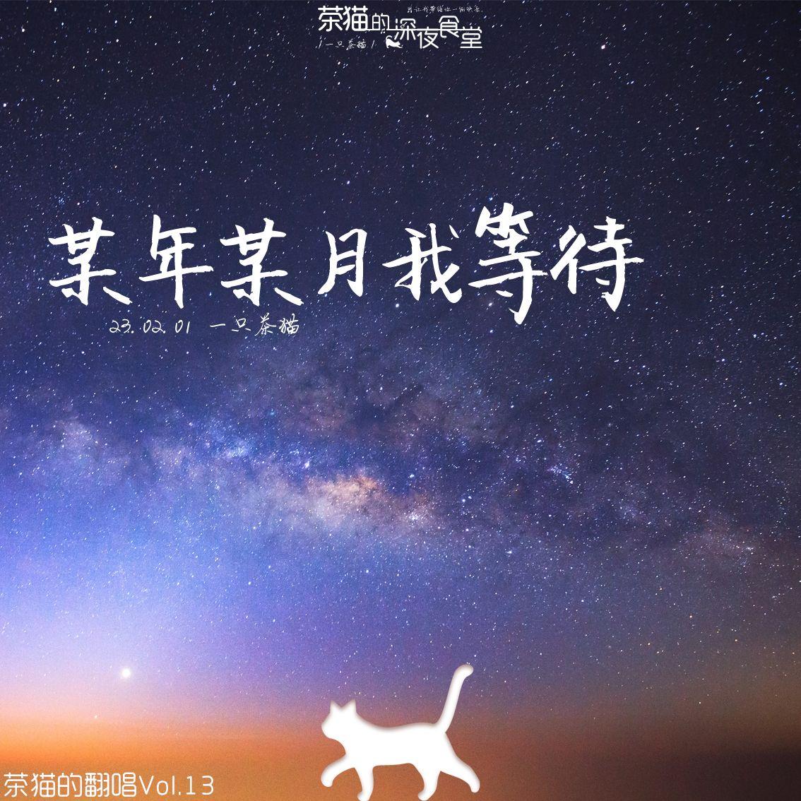 眼泪成诗(男版)封面