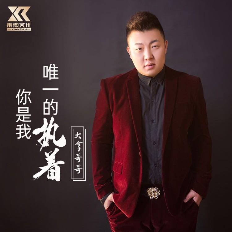 我问风你去了哪里 (片段版) - 大拿封面
