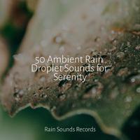 50 Ambient Rain Droplet Sounds for Serenity