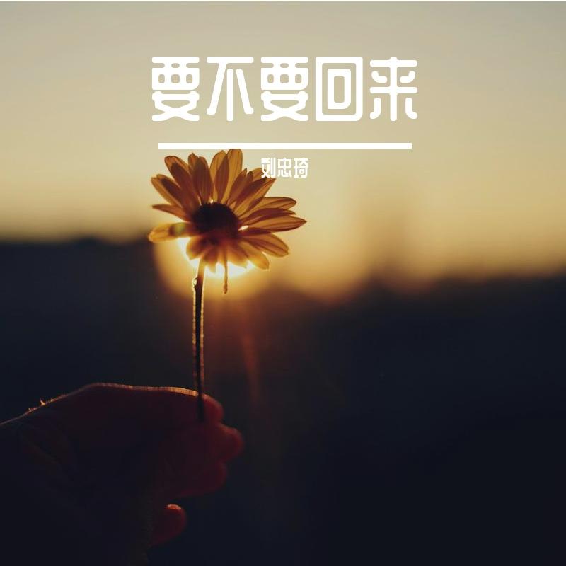 相看两不厌 - 刘忠琦封面