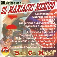 20 Éxitos con El Mariachi Mexico - Sones Con Mariachi