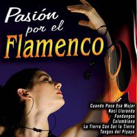 Pasión por el Flamenco