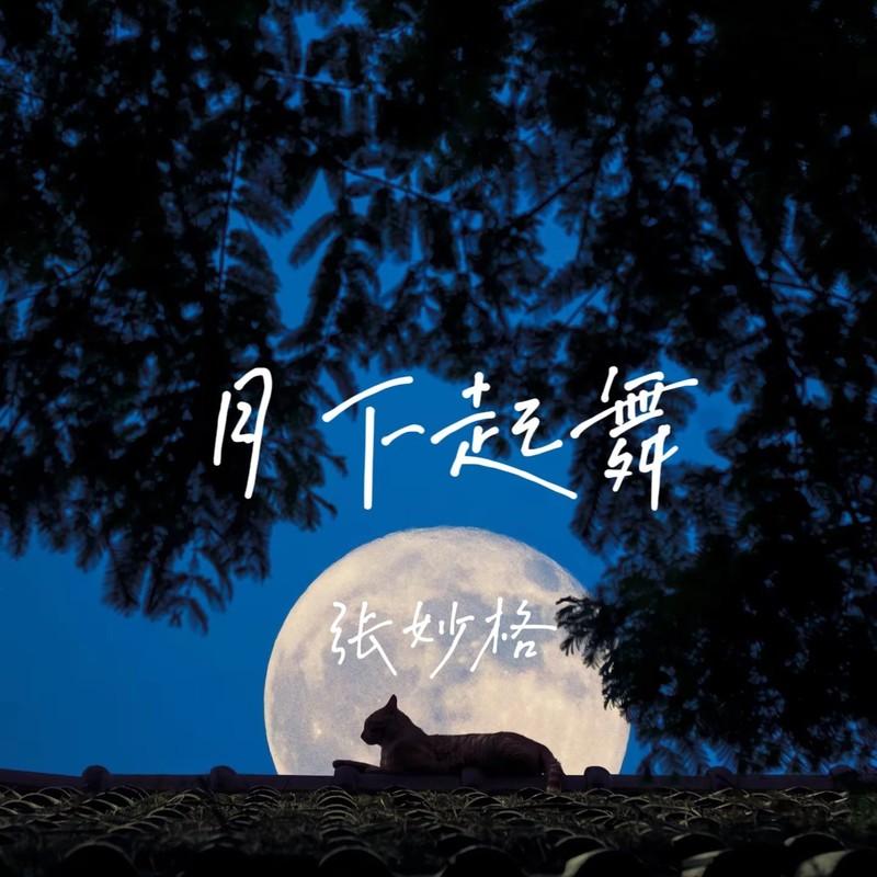 月下起舞封面