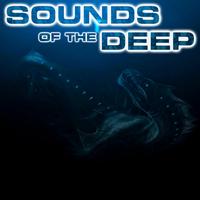 Sounds of the Deep (feat. White Noise Sounds For Sleep, Soothing Sounds, Soothing Baby Sounds, Nature Sounds New Age, Relaxing Nature Sound & National Geographic Nature Sounds)