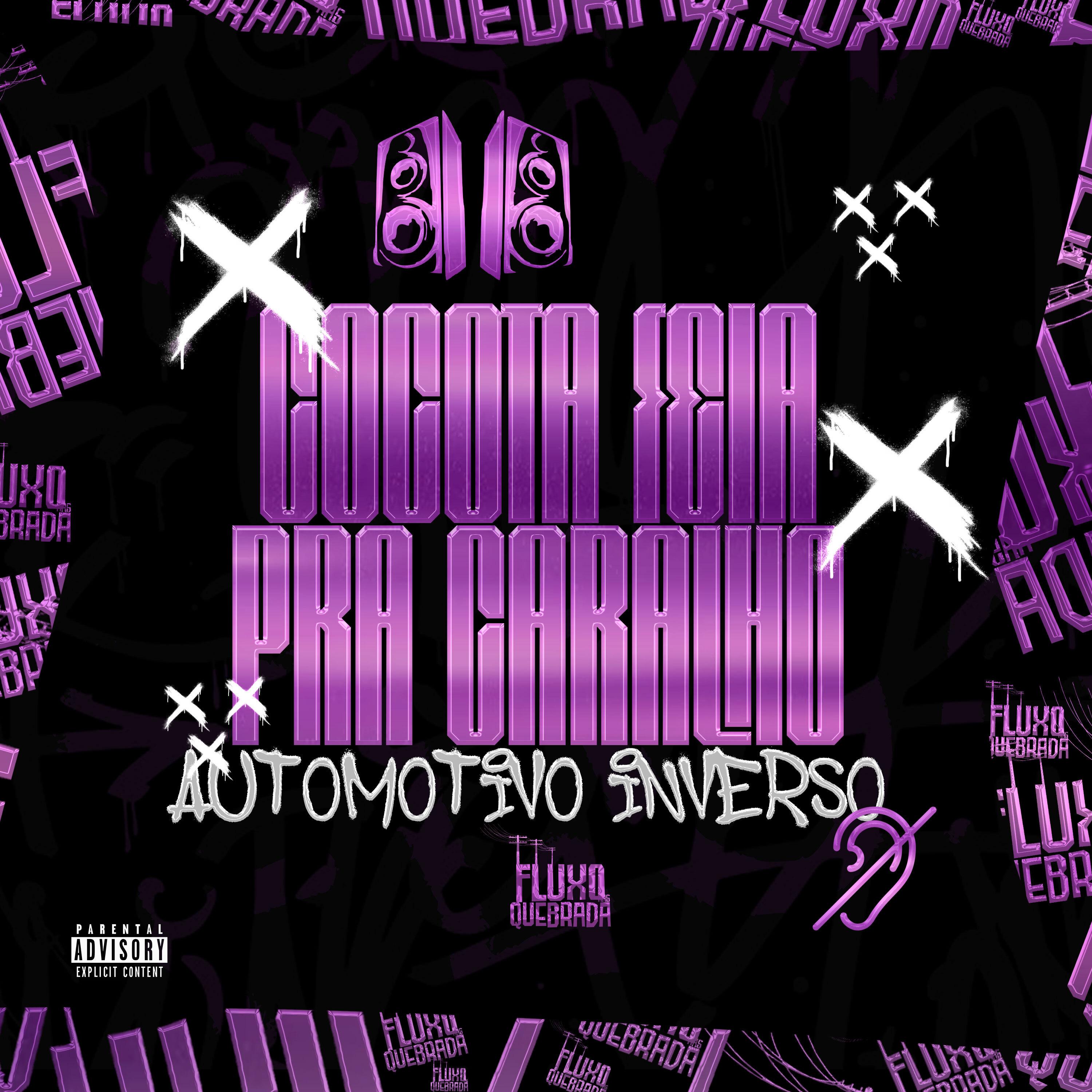 COCOTA FEIA PRA CARALHO - AUTOMOTIVO INVERSO