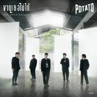 ขาดเธอไม่ได้ (เพลงประกอบละคร 