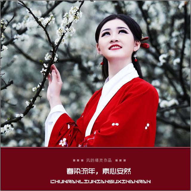 月光美人(Cover高寒)封面
