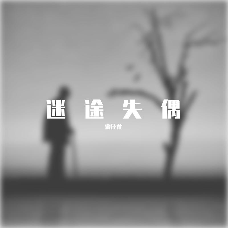 没有这首歌 伴奏封面