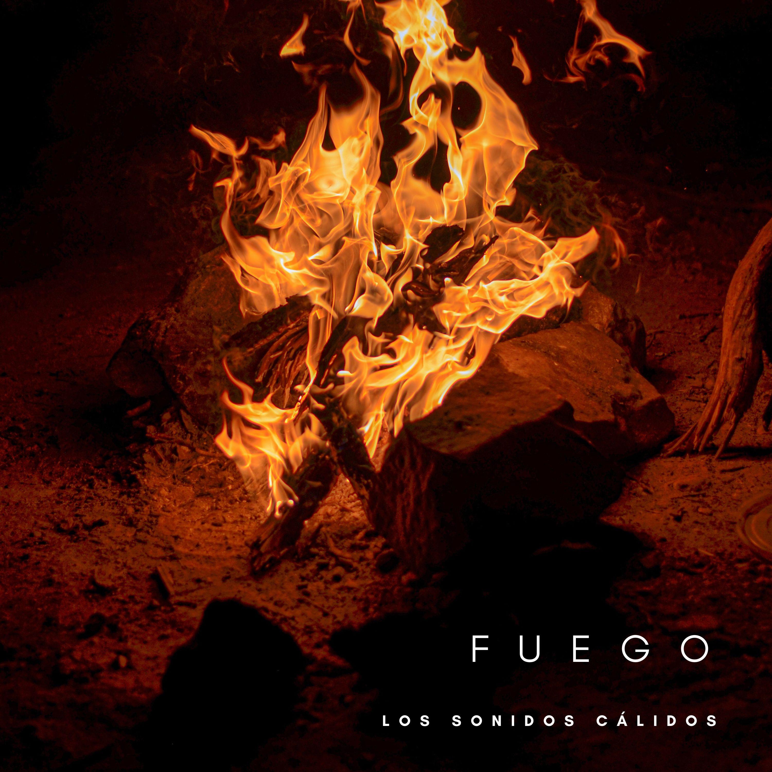 El Ruido De Las Llamas_Fuego Ambiental_Fuego: Los Sonidos Cálidos | 在线播放_El Ruido De Las Llamas歌词_El Ruido De Las Llamas下载 | 网易云音乐
