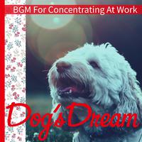 BGM For Concentrating At Work