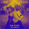 ZZ Ward - Tin Cups (Biicla Remix)