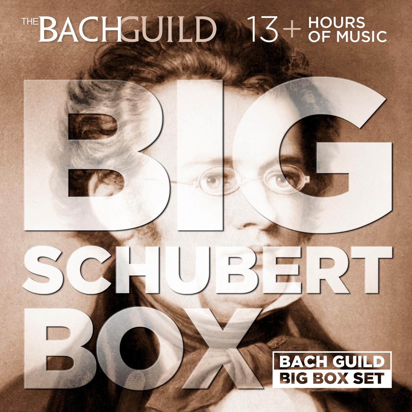 Quartetsatz in C Minor, D. 703 – Allegro assai