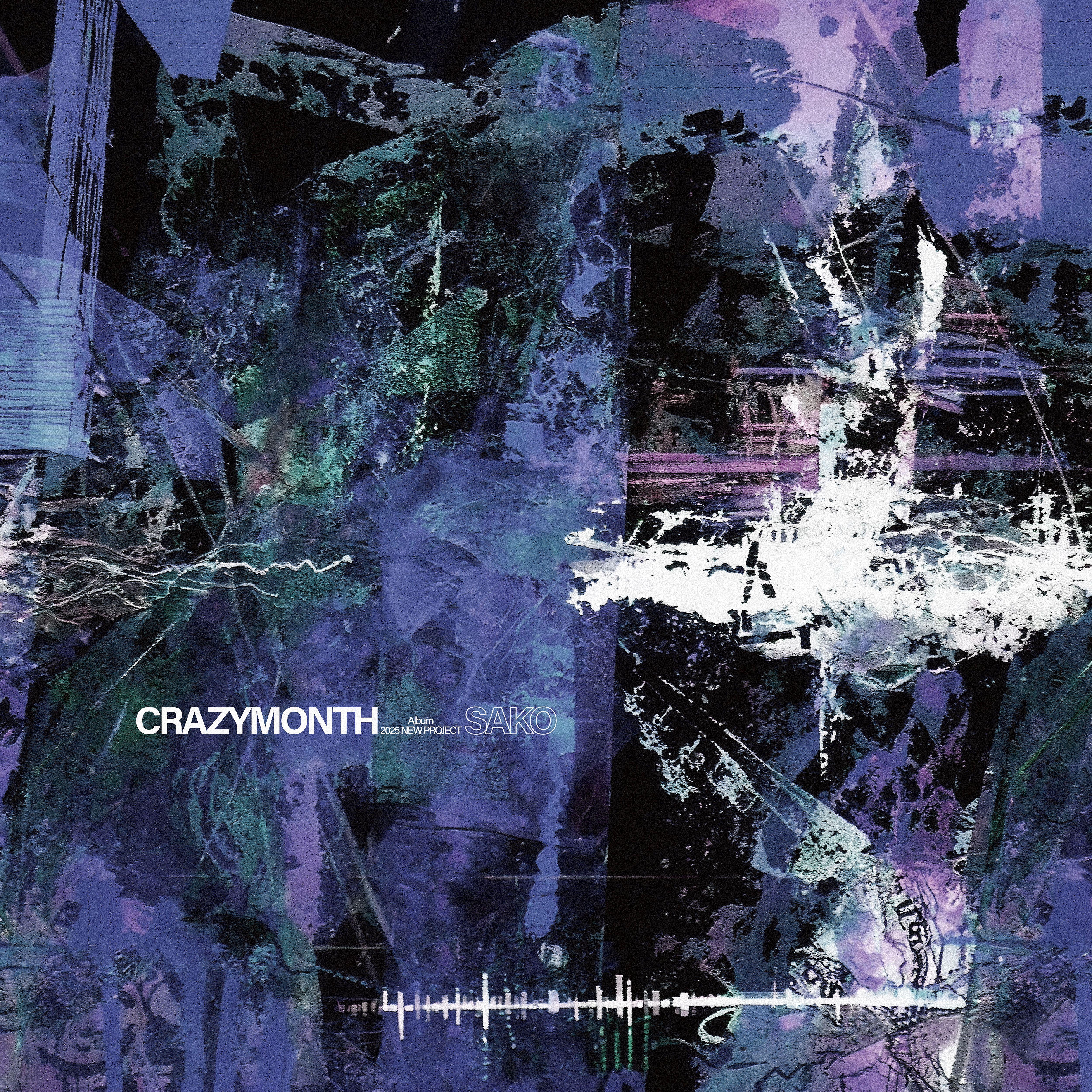 Chameleon (变色龙)