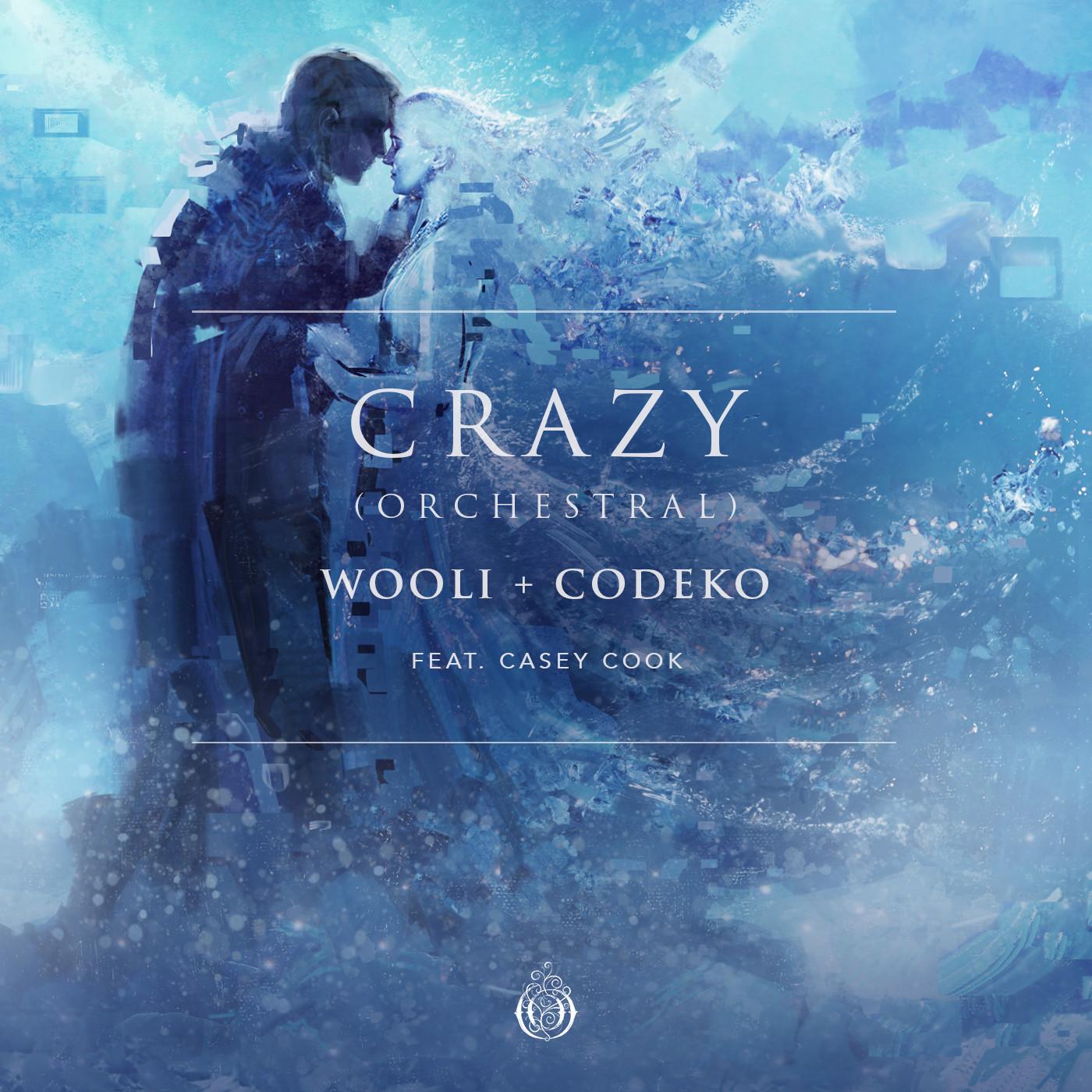 Crazy (feat. Casey Cook)