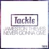 Jameston Thieves - Never Gonna Give (Original Mix)