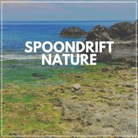 Spoondrift Nature