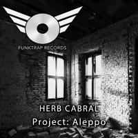 Project Aleppo