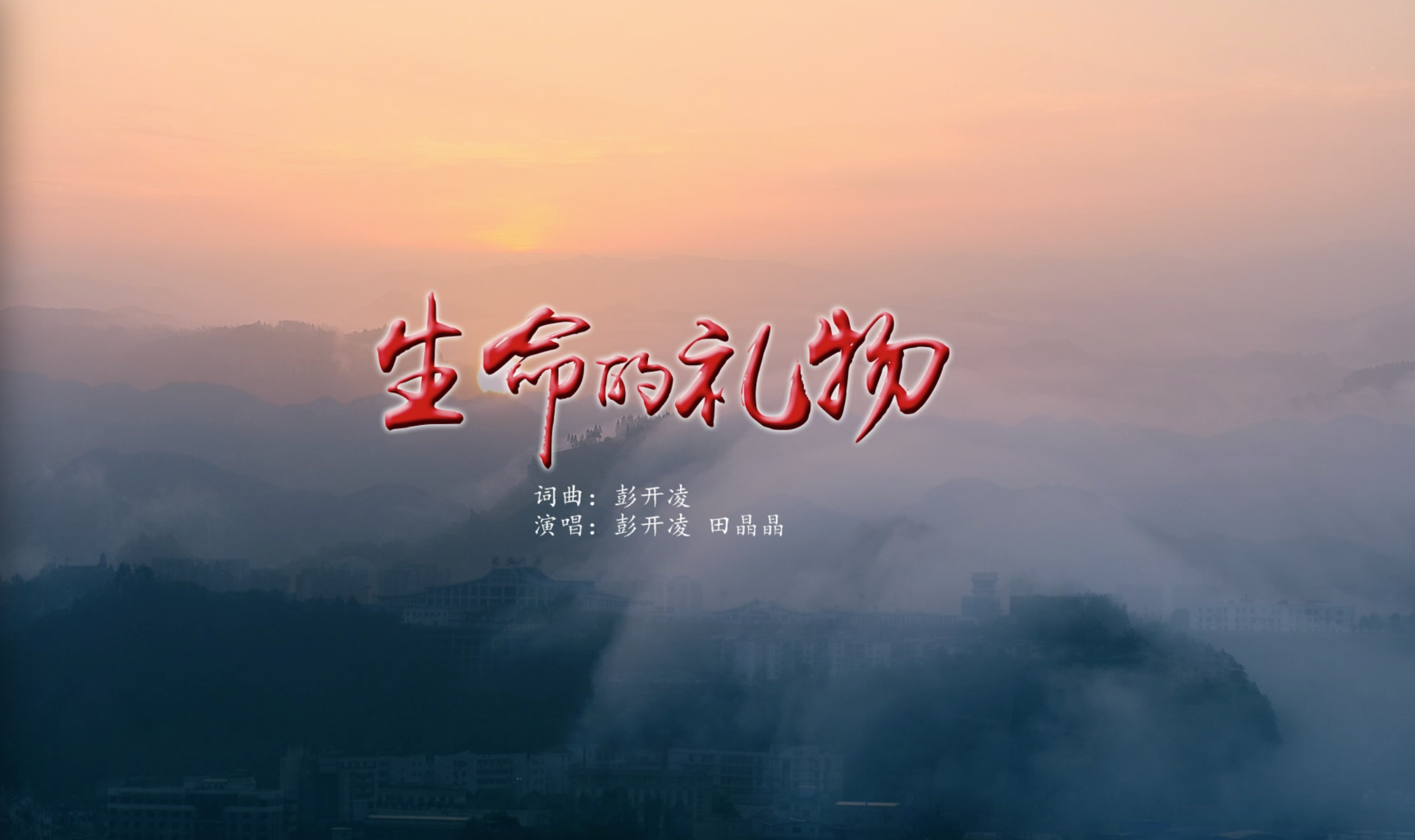 生命的礼物封面