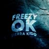 Freezy TFS - Ok