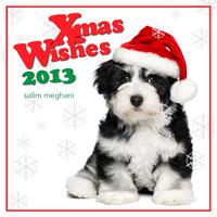 Xmas Wishes 2013