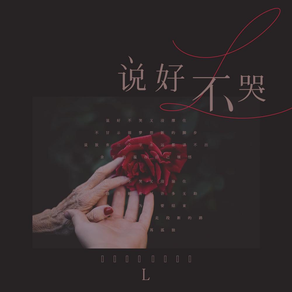 说好不哭 (伴奏)封面