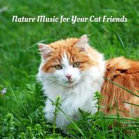 Nature Music for Your Cat Friends